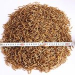 10-LBS-Natural-Dried-Mealworms-for-Wild-Birds-Chicken-Duck-etc-2-bags-of-5lbs-0-1