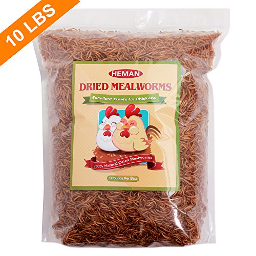 10-LBS-Natural-Dried-Mealworms-for-Wild-Birds-Chicken-Duck-etc-2-bags-of-5lbs-0