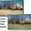 4000-Sq-Feet-4Ever-Green-Grass-and-Turf-Paint-0-0