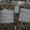 5000-Moringa-Seeds-Fresh-seeds-with-great-germination-rate-Distributed-by-Paisley-Farm-FL-0-0