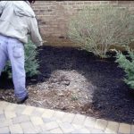 9600-Sq-Feet-Black-Forest-Mulch-Color-Concentrate-0-0