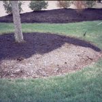9600-Sq-Feet-Black-Forest-Mulch-Color-Concentrate-0-1