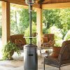 AZ-Patio-Heaters-HLDS01-WCGT-Tall-Patio-Heater-with-Table-0-1