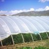 Agfabric-12ft-x-25ftGreenhouse-Clear-Plastic-Film-Polyethylene-CoveringDIY-Gardening-Film55mil-0