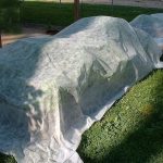 Agfabric70-2oz-13x100Super-Heavy-Floating-Row-Crop-CoverPlant-Protection-BlanketGarden-Fabric-Plant-Cover-0-0