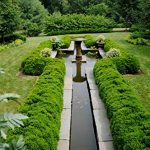 American-Boxwood-Lot-of-10-plants-in-quart-containers-Traditional-evergreen-hedge-0-0