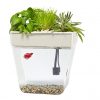 Back-to-the-Roots-Water-Garden-Fish-Tank-0