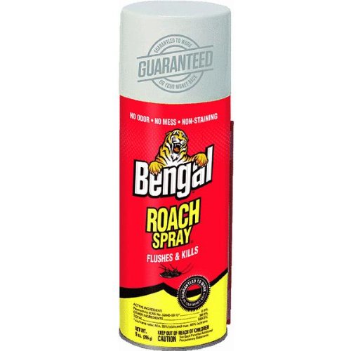 Bengal-Gold-Roach-Spray-4-Pack-Model-92464-4-BEST-Roach-Killer-on-Amazon-SAVE-0