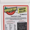 Brushtox-Brush-Killer-with-Triclopyr-0