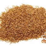 Chubby-Mealworms-High-Quality-Bulk-Dried-Mealworms-for-Wild-Birds-Chickens-etc-0-0