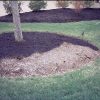 CurbAppeal-300-Sq-Ft-Black-Forest-mulch-color-concentrate-Model-bf0004-Home-Garden-Store-0