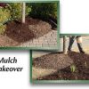 CurbAppeal-300-Sq-Ft-Cocoa-Brown-mulch-color-concentrate-Model-cb0004-Home-Garden-Store-0