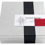 Dawn-Redwood-Forest-Bonsai-Box-0-0