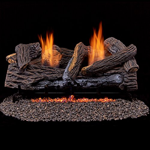 Duluth-Forge-Vent-Free-Dual-Fuel-Gas-Log-Set-24-in-Berkshire-Stacked-Oak-Remote-Control-0