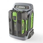 EGO-Power-56-Volt-Lithium-ion-Rapid-Charger-for-EGO-Power-Equipment-0-1