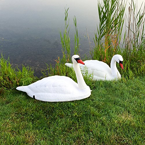 Floating-Swan-Decoy-Pair-0-0