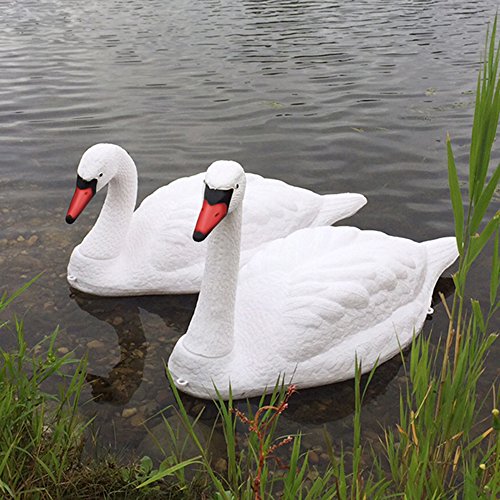 Floating-Swan-Decoy-Pair-0