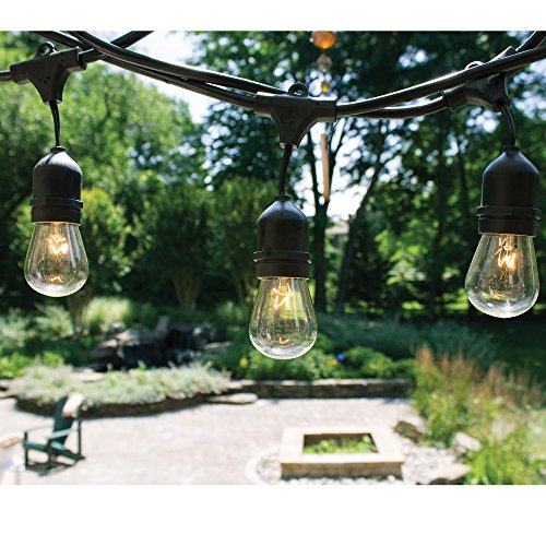 Fulton-Illuminations-S14-24-Bulbs-String-Lights-with-6-Extra-Bulbs-and-13-Feet-Extension-Cord-48-Feet-0