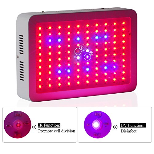 Galaxyhydro-LED-Grow-Plant-Light-300w-Greenhouse-Indoor-Hydroponic-Grow-Lighting-9-Band-0-1