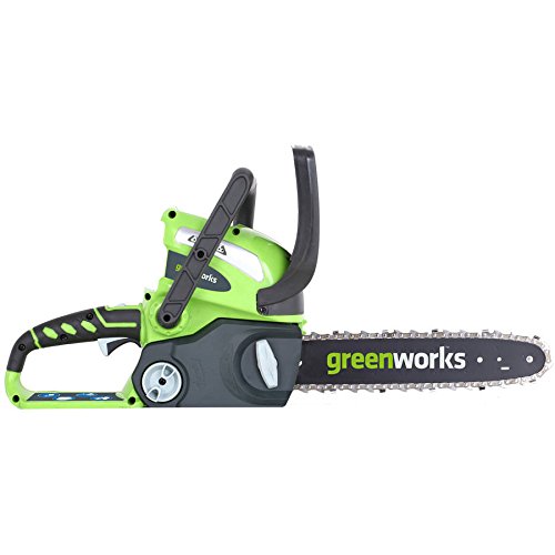 GreenWorks-2000219-40V-12-Cordless-Chainsaw-Includes-Battery-and-Charger-0