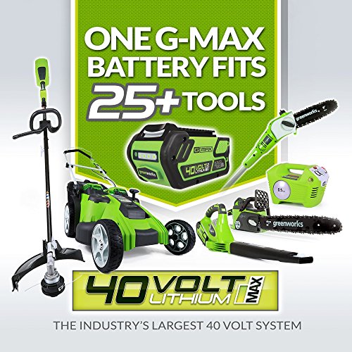 GreenWorks-2101602-G-MAX-40V-12-Inch-Cordless-String-Trimmer-2Ah-Battery-and-Charger-Included-0-0