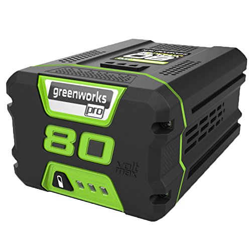 GreenWorks-Lithium-Ion-Battery-0