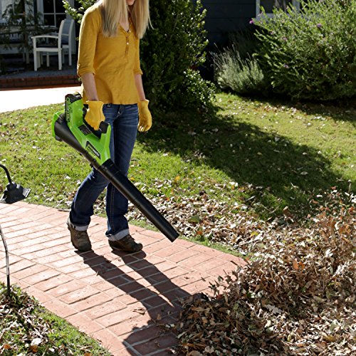 GreenWorks-STBA40B210-G-MAX-40V-Cordless-String-Trimmer-and-Blower-Combo-Pack-0-0