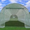 Greenhouse-33x13x75-Large-Heavy-Duty-Green-House-Walk-in-Hothouse-185-Pounds-By-DELTA-Canopies-0