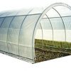 Greenhouse-Clear-Plastic-Film-Polyethylene-Cover-4-Year-6-Mil-12ft-X-25ft-0-1