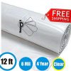 Greenhouse-Clear-Plastic-Film-Polyethylene-Cover-4-Year-6-Mil-12ft-X-25ft-0