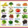Heirloom-Vegetable-Seeds-Non-GMO-seeds-Non-Hybrid-Easy-to-Grow-0