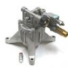 Homelite-Universal-Pressure-Washer-Pump-2800-PSI-25-GPM-fits-308653052-and-many-models-0