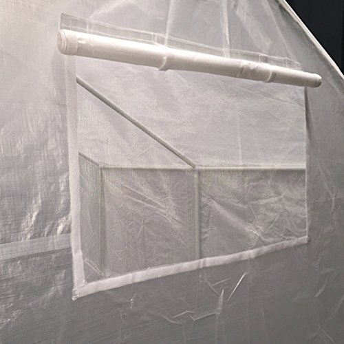 King-Canopy-GH1010-10-Feet-by-10-Feet-Fully-Enclosed-Greenhouse-Clear-0-0