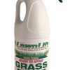 Lawn-Paint-Ready-to-Spray-Lawn-Paint-12-Units-32-oz-0