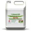 Lawnlift-Grass-and-Mulch-Paints-Ultra-Concentrated-Grass-Paint-gallon-Green-0