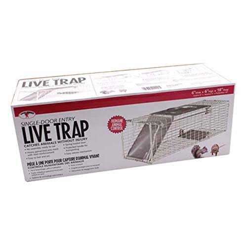 Little-Giant-Single-Door-Entry-Live-Animal-Trap-0