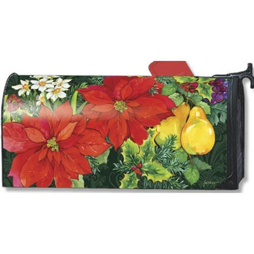 MailWraps-Poinsettia-Fruit-Mailbox-Cover-06395-by-MailWraps-0