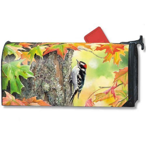 MailWraps-Woodpecker-Mailbox-Cover-01057-by-MailWraps-0
