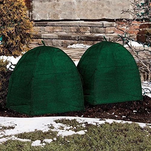 NuVue-20252-28-x-28-x-30-Green-Frost-Proof-Winter-Shrub-Protector-Covers-Quantity-4-0-1