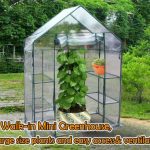 ON-Sale-Quictent-New-Mini-56x29x77-Portable-Green-House-6-shelves-Greenhouse-0-0