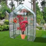 ON-Sale-Quictent-New-Mini-56x29x77-Portable-Green-House-6-shelves-Greenhouse-0-1
