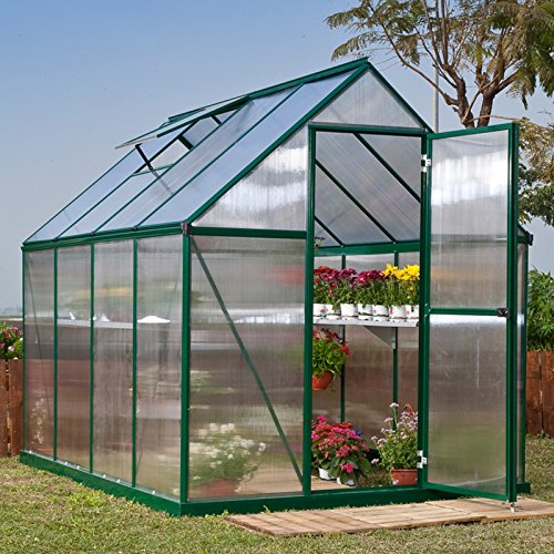 Poly-Tex-Nature-6-x-6-Foot-Greenhouse-Silver-Frame-Twin-Wall-Greenhouse-0-0