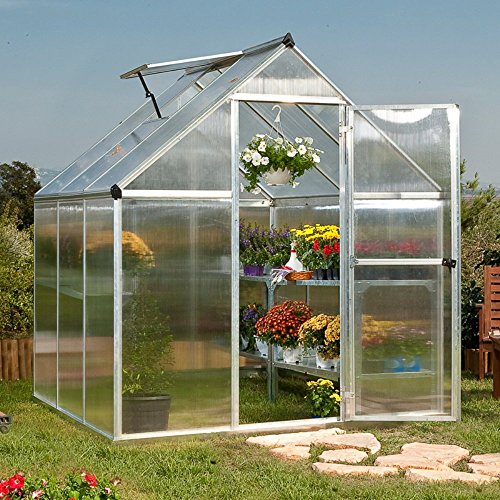 Poly-Tex-Nature-6-x-6-Foot-Greenhouse-Silver-Frame-Twin-Wall-Greenhouse-0