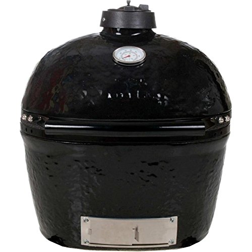 Primo-Ceramic-Charcoal-Smoker-Grill-Oval-0