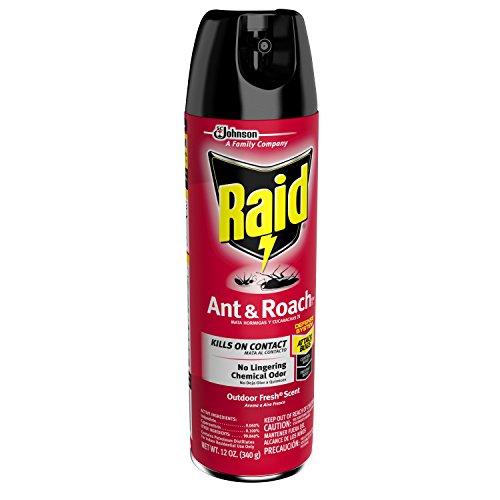Raid-Ant-Roach-Killer-Outdoor-Fresh-0-1