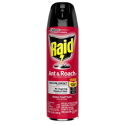Raid-Ant-Roach-Killer-Outdoor-Fresh-0