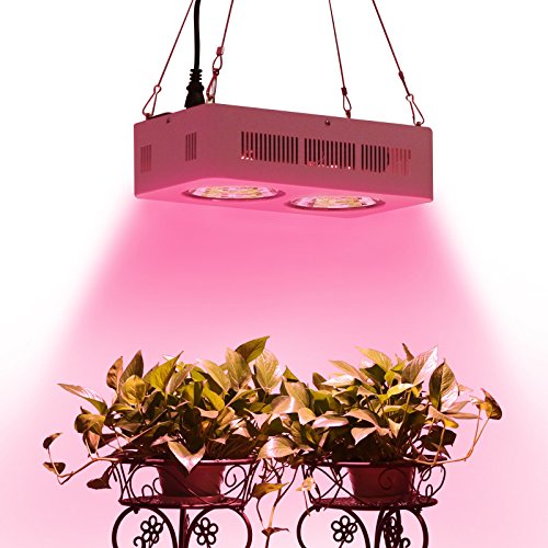 Roleadro-400W-COB-Full-Spectrum-LED-Grow-Light-with-Innovated-Chips-2nd-Generation-0