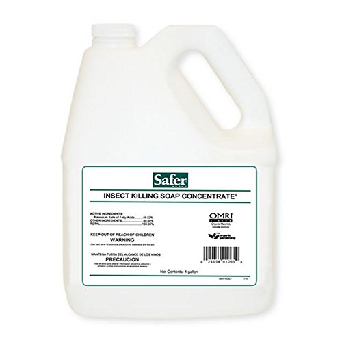 Safer-Brand-Insect-Killing-Soap-Concentrate-1-gallon-0