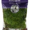 SuperMoss-Mood-Moss-Preserved-0