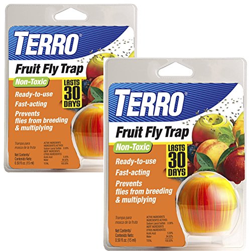 TERRO-Fruit-Fly-Trap-0
